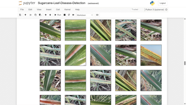 AI-Driven Sugarcane Diseases Detection & Remedy Suggestion with Flask App Final Year Project - Image 6